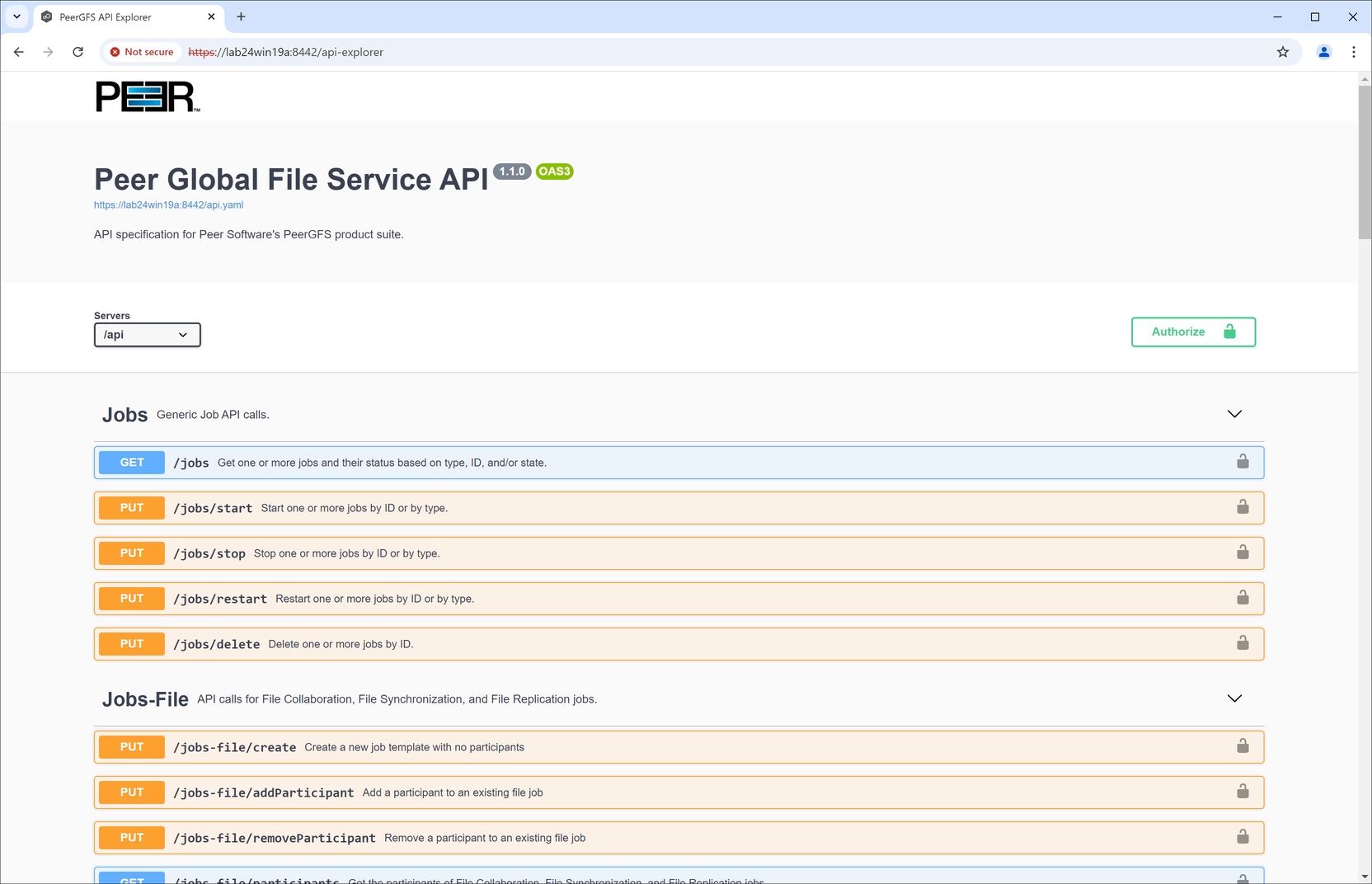 Advanced Topics-Testing the PeerGFS API