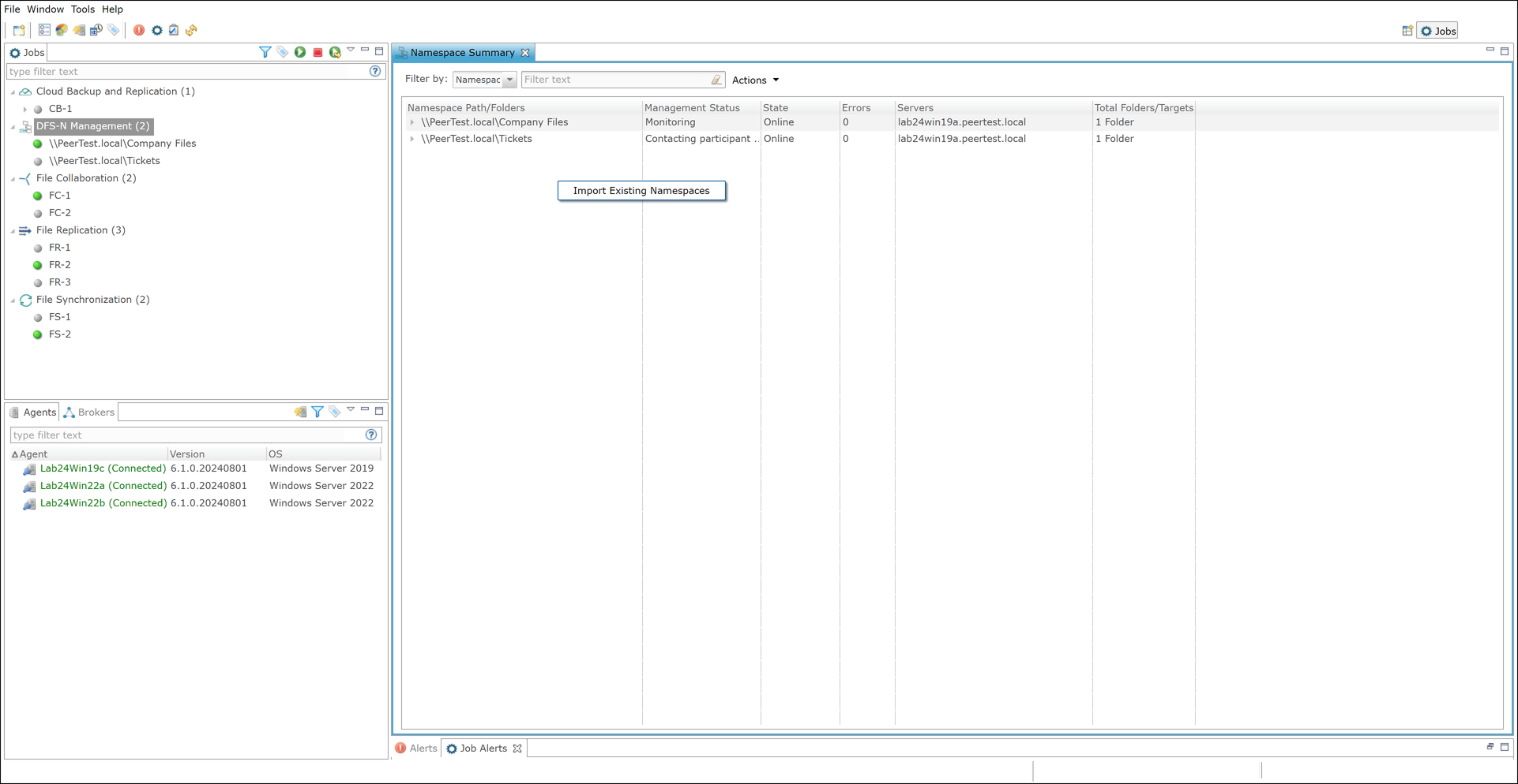 DFS-Import Existing Namespace-1