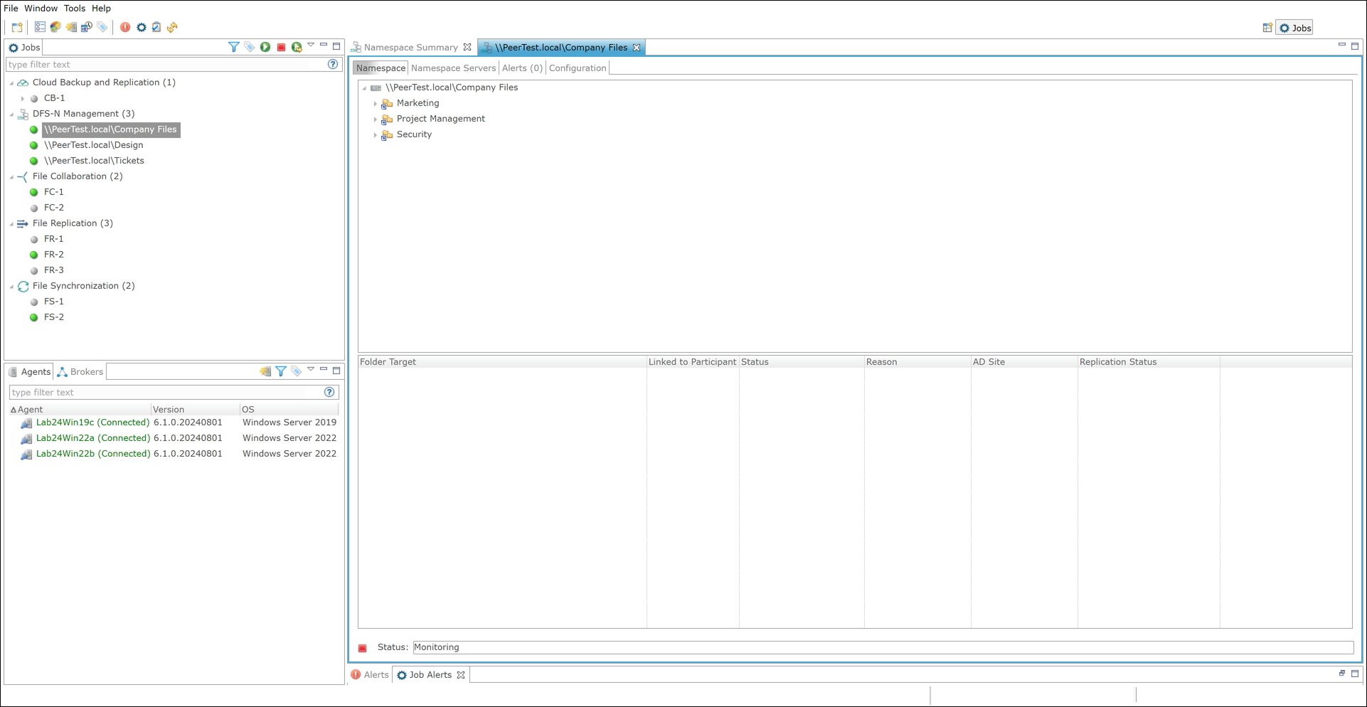 DFS-Adding Folder Target-2