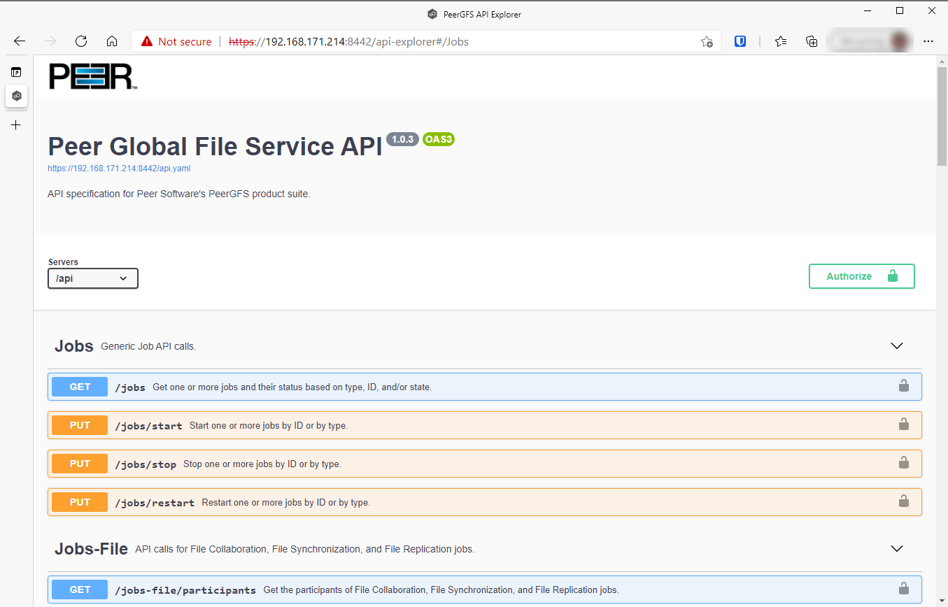 Advanced Topics-Testing the PeerGFS API