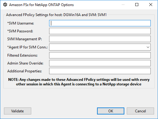 Amazon FSxN Storage Information-Advanced Options