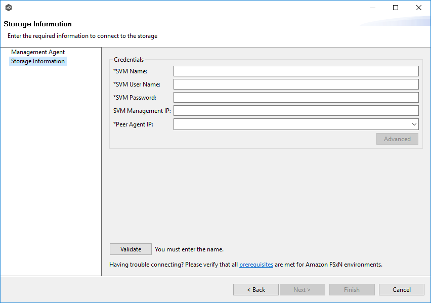 Amazon FSxN Storage Information-Configuration