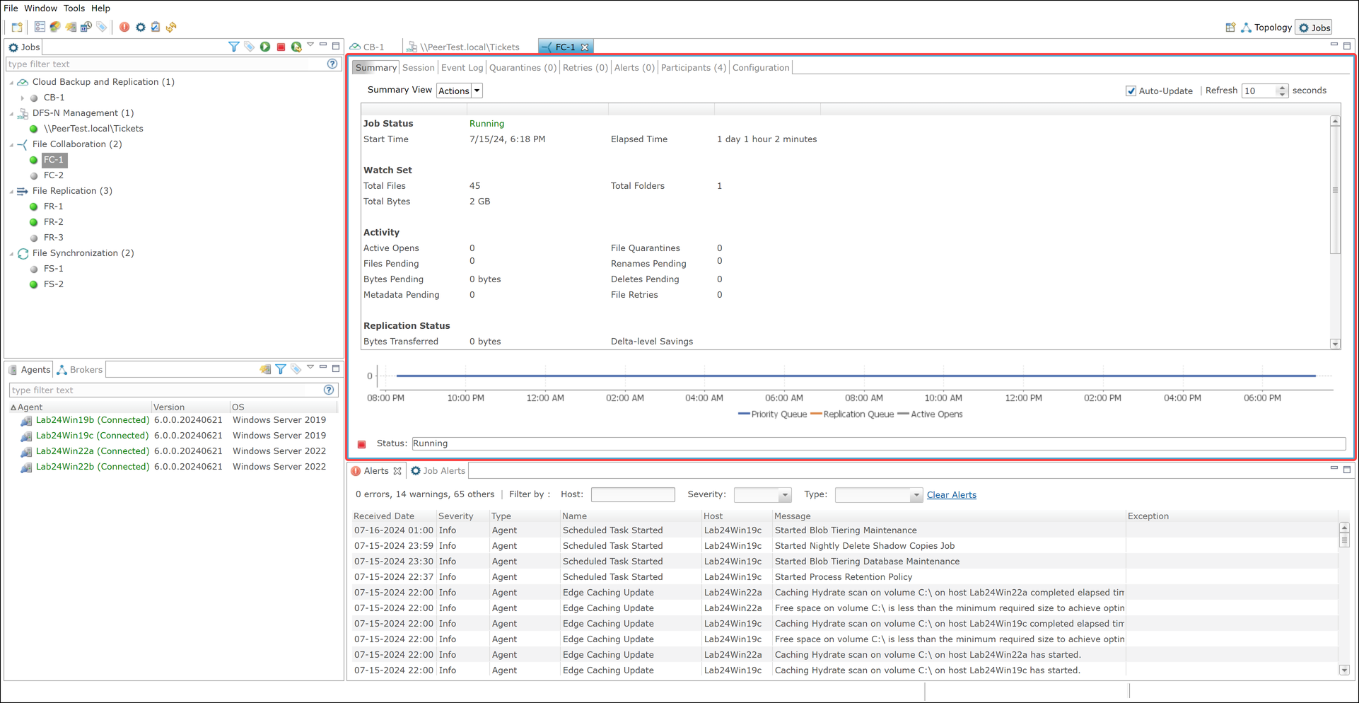 Peer Global File Service Help > Peer Management Center User Interface ...