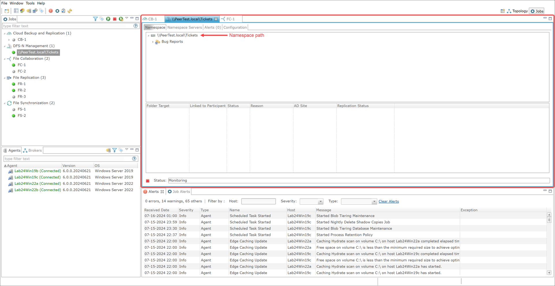 Peer Global File Service Help > Peer Management Center User Interface ...
